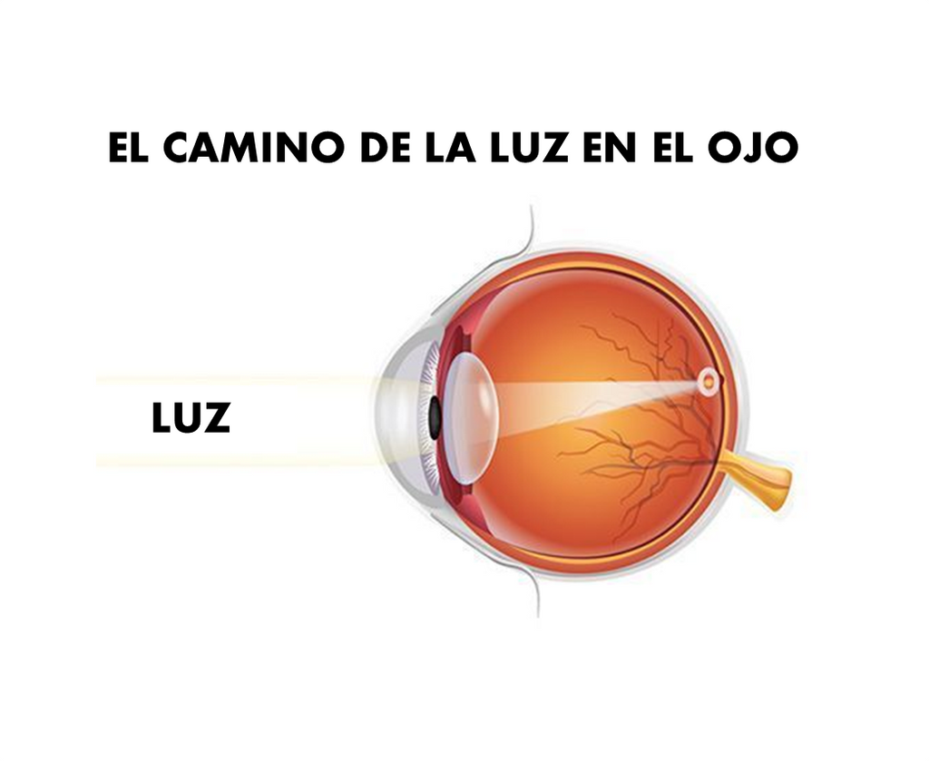Problemas de visión y lentes oftálmicos